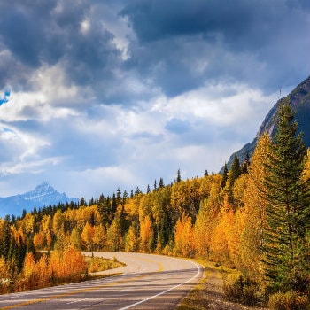 Driving through the Rocky Mountains in autumn