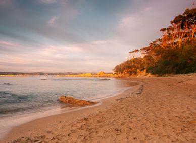 A deserted New South Wales beach.