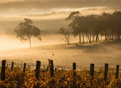Margaret River in Western Australia.
