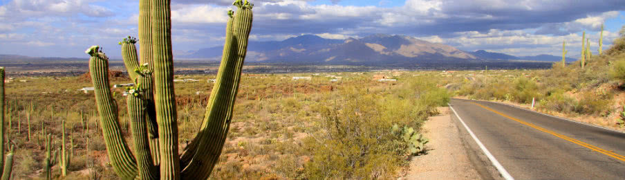 road to Saguaro National Park in Tucson