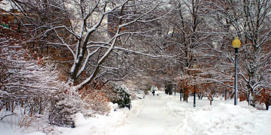 snowing winter at boston