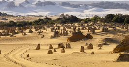 Lancelin and Pinnacles day trip from Perth