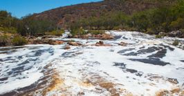 Swan Valley day trips