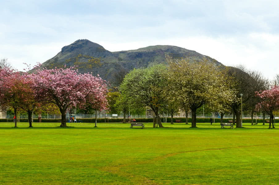 Spring in Meadows Park, Edinburgh