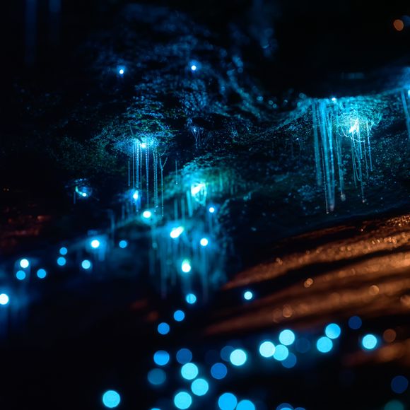 Glow worm cave.