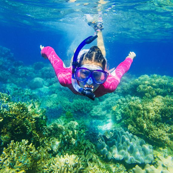 Snorkelling close to the coral reef.