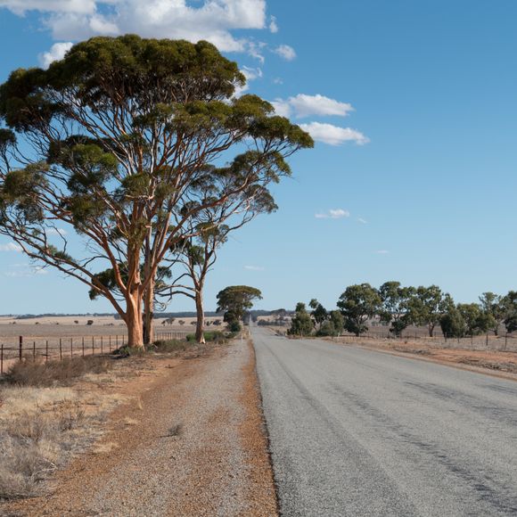 An outback road in Australia.
