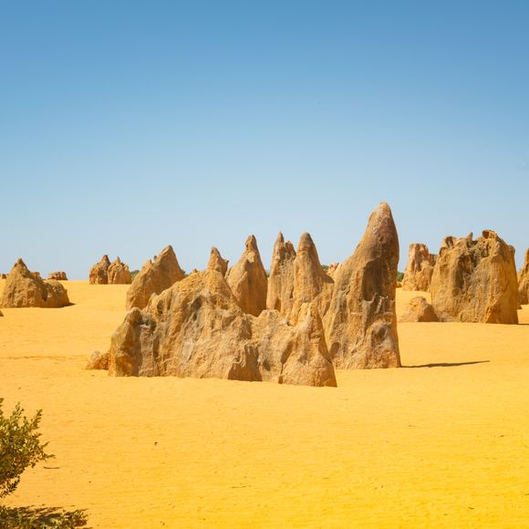 Pinnacles at Nambung National Park.