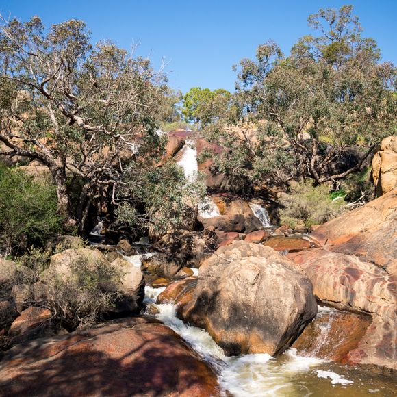 John Forrest National Park in Hovea.