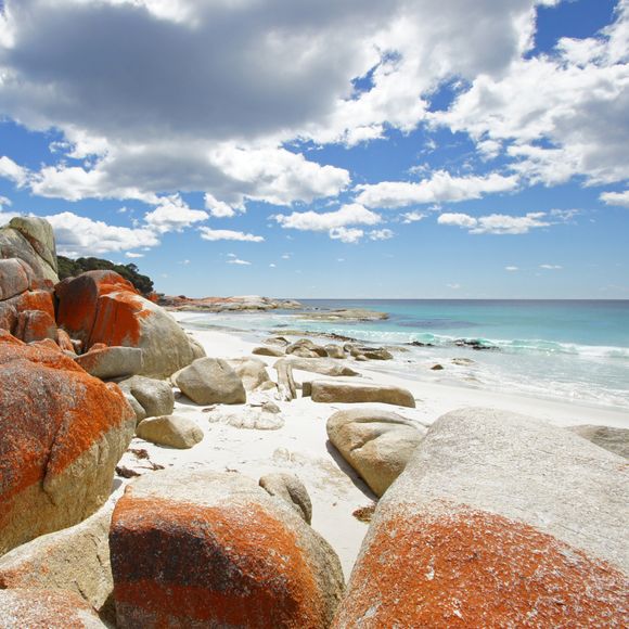 Orange lichen granite rocks at the Bay of Fires.