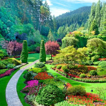 A view of the sunken garden at Butchart Gardens