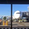 Flight number