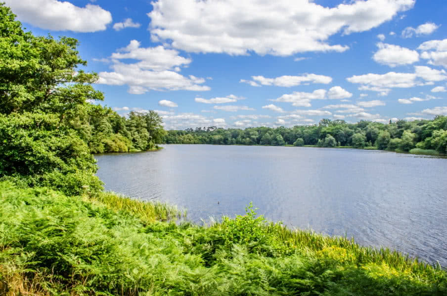 Virginia water lake Berkshire, UK