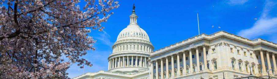 Washington Capitol Building