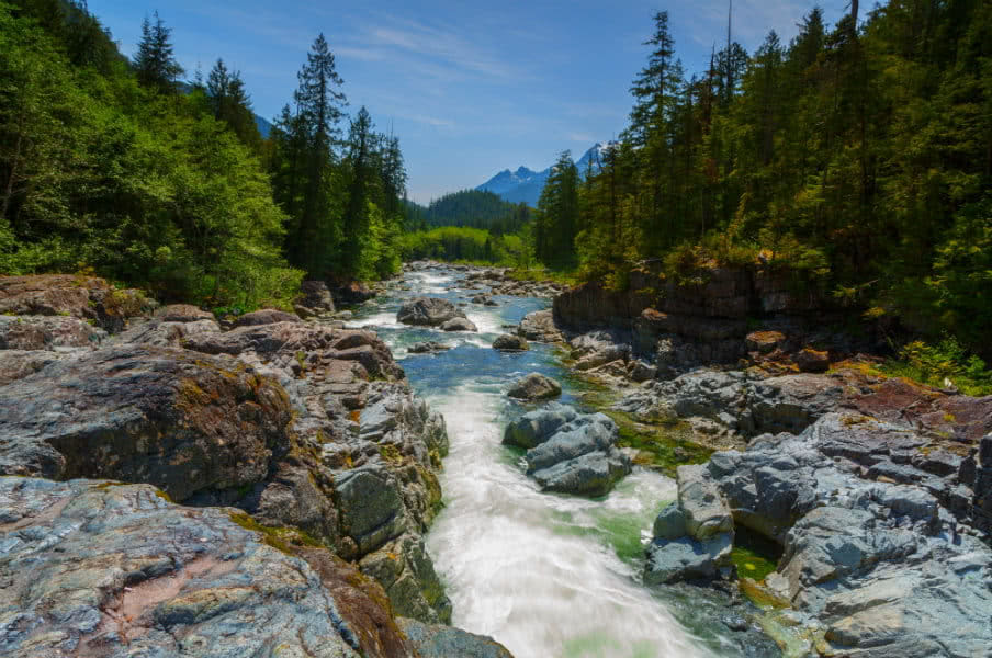 Waterfall near the Pacific Rim Highway, CA