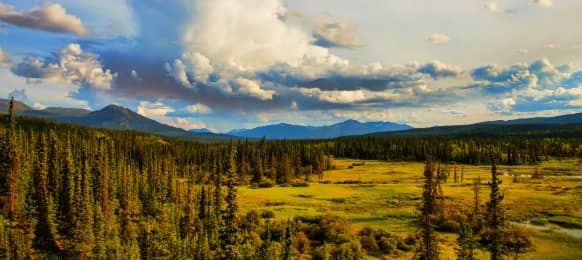 Wilderness views in summer, Whitehorse, CA