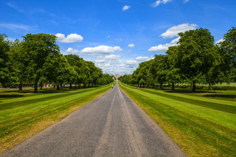 Windsor castle from The Long Walk, Berkshire, UK