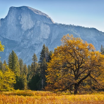 Yosemite in Fall