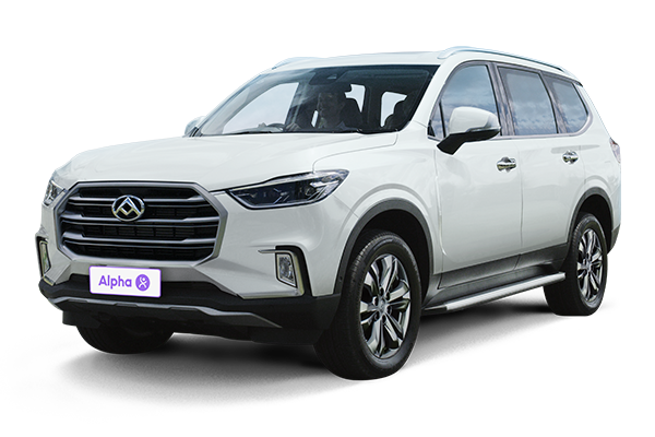 Ldv D90 or similar