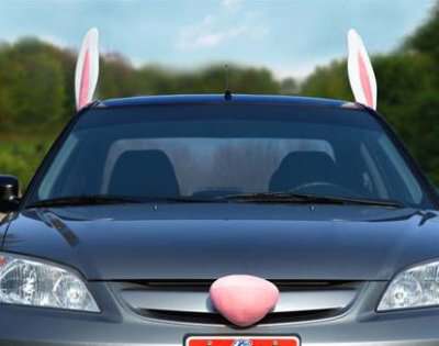bunny-car-decorations