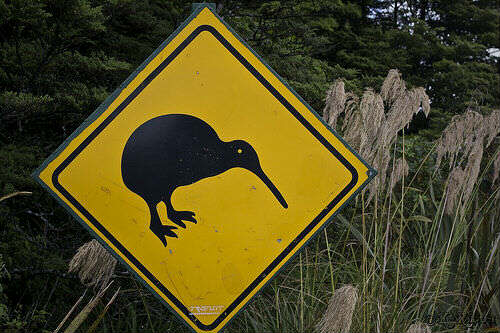 NZ Road Sign