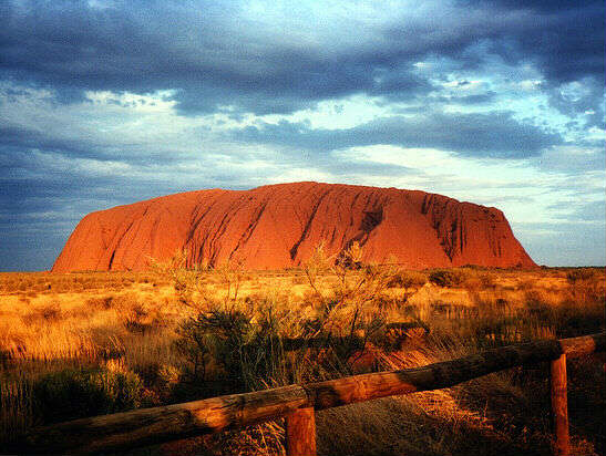Top 5 Australian Road Trip Must Haves