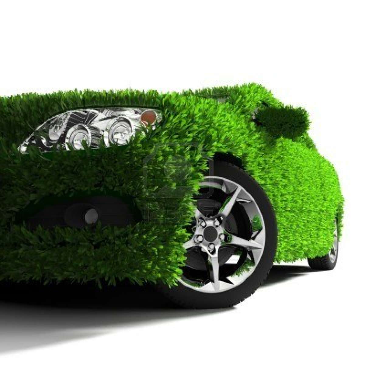 car covered with green
