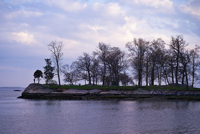 Cove Island Park