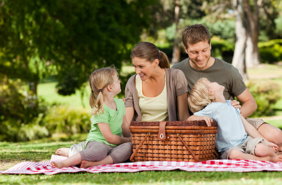 family-celebrating-australia-day-2016-in-the-park-dp