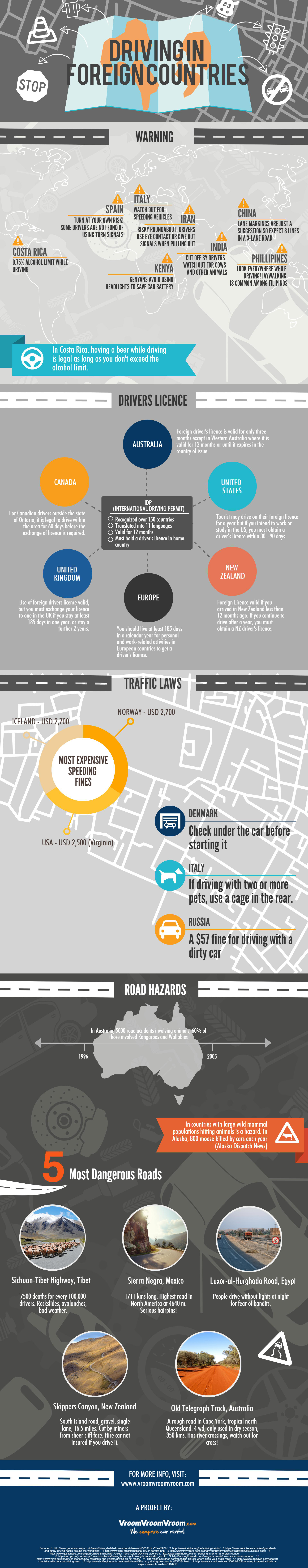 driving in foreign countries