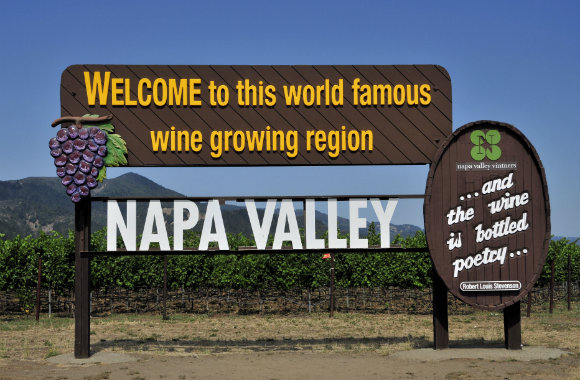 vineyards-of-napa-valley-in-california-dp