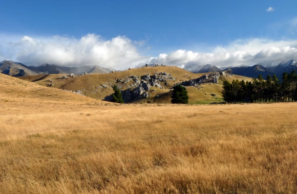 Canterbury Mountains, New Zealand