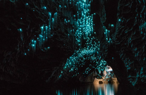 Waitomo Glowworm Caves in New Zealand
