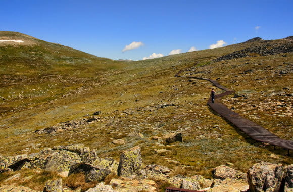 highest mountain in Australia