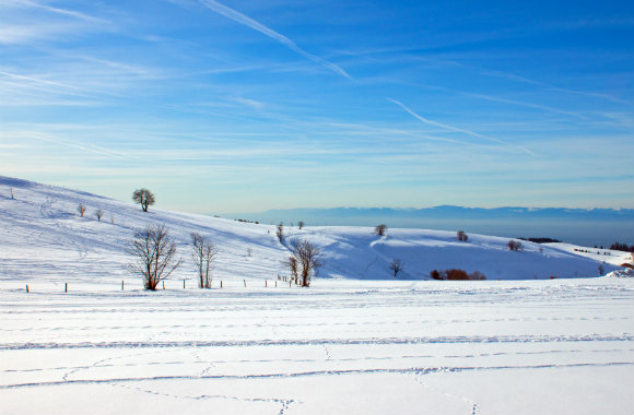 Winter landscape in the Black Forest