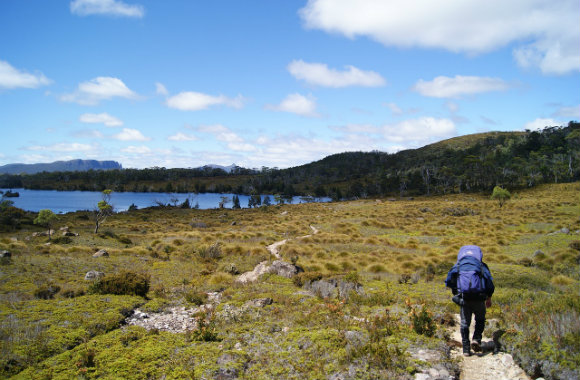 hiking in Tasmania