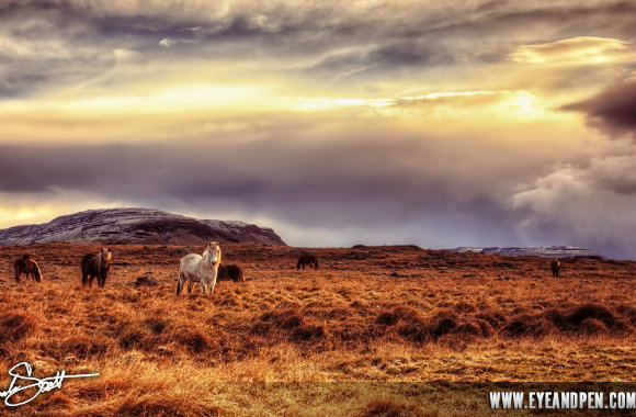 borganes-iceland-by-brandon-elijah-scott-bp