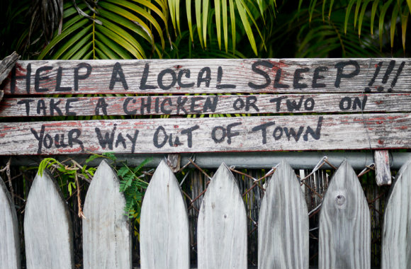 key-west-sign-by-shannon-o-donnell-of-a-little-adrift-bp