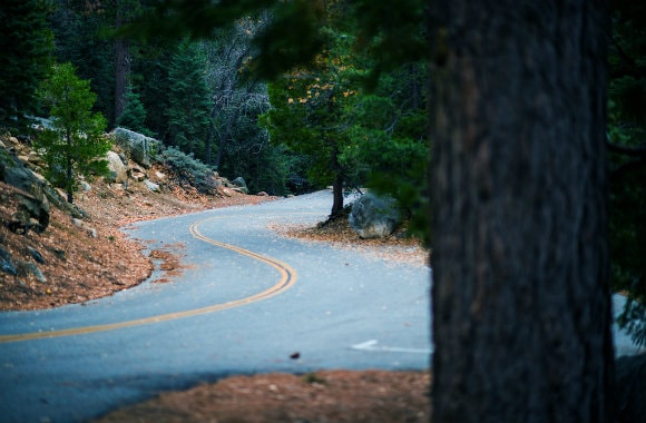 Following the road